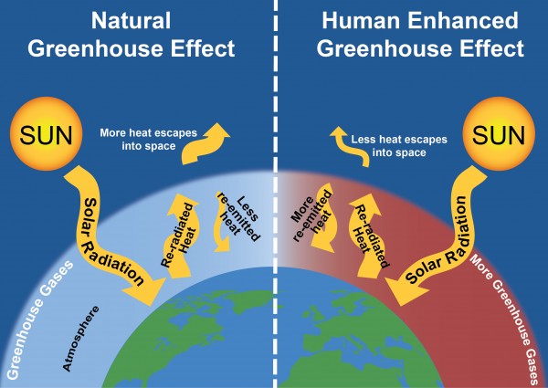meaning of greenhouse effect in simple words